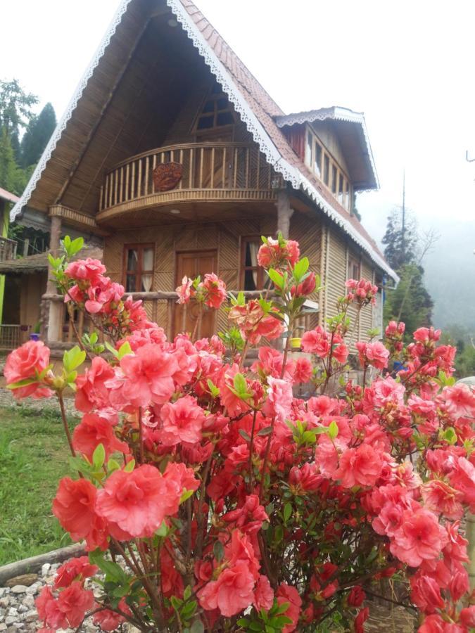 Spring Brooks Homestay Дарджилинг Экстерьер фото