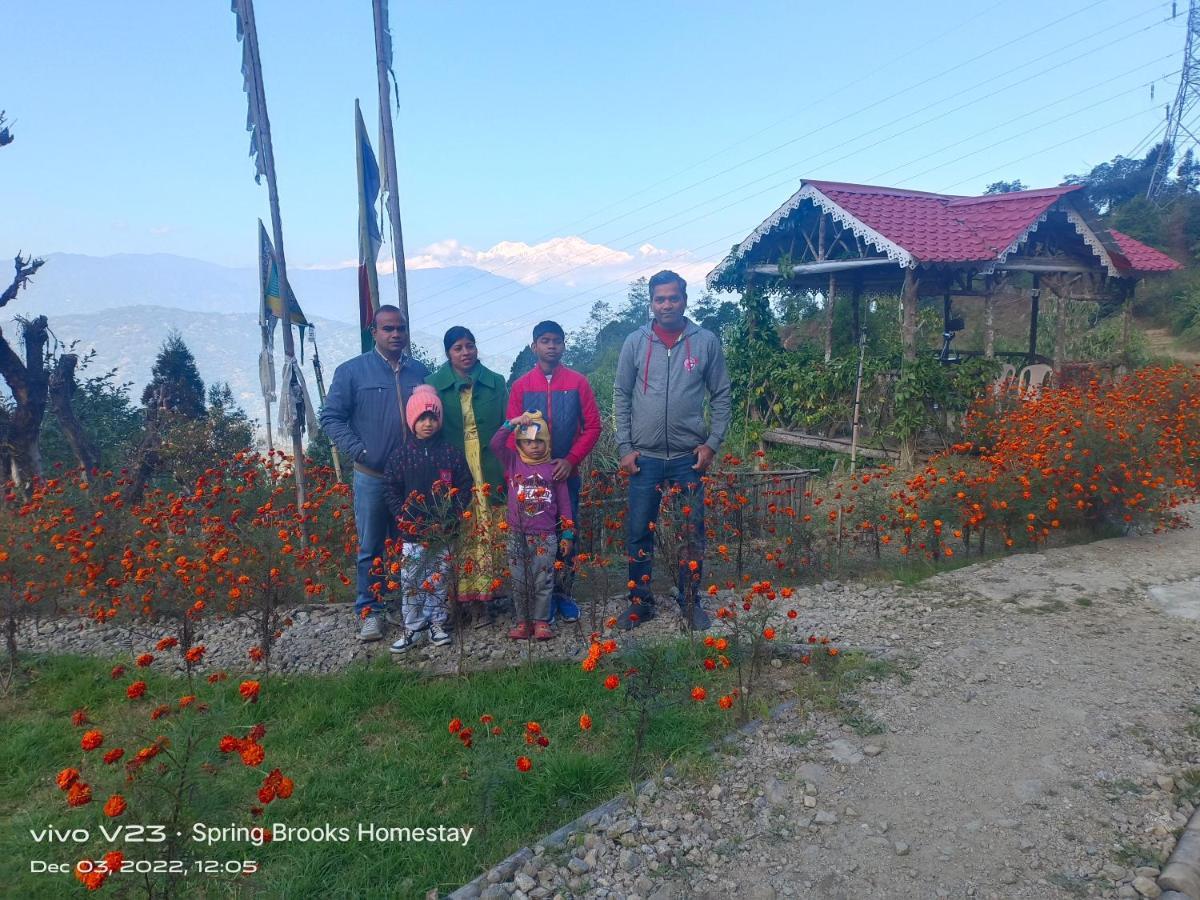 Spring Brooks Homestay Дарджилинг Экстерьер фото